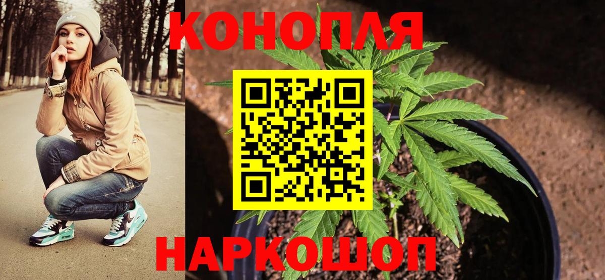 Белгород  Канабис планчик  Каннабис гибрид  МАРИХУАНА ГИДРОПОН  Вход с VPN  Шишки марихуана AK-47 